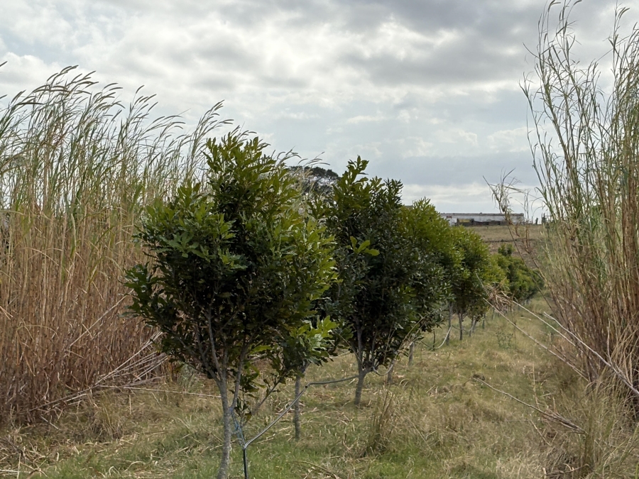 3 Bedroom Property for Sale in Kidds Beach Eastern Cape